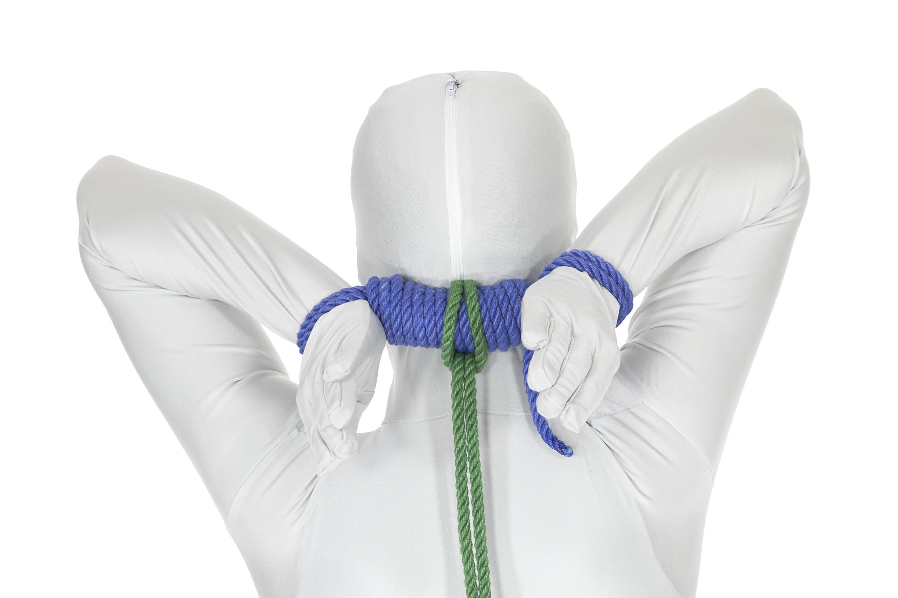 A rear view of a person with their hands tied behind the head by a blue bar tie that separates them by six inches. A green rope has been attached to the bar tie with a larks head, with the tail of the rope going down the body.