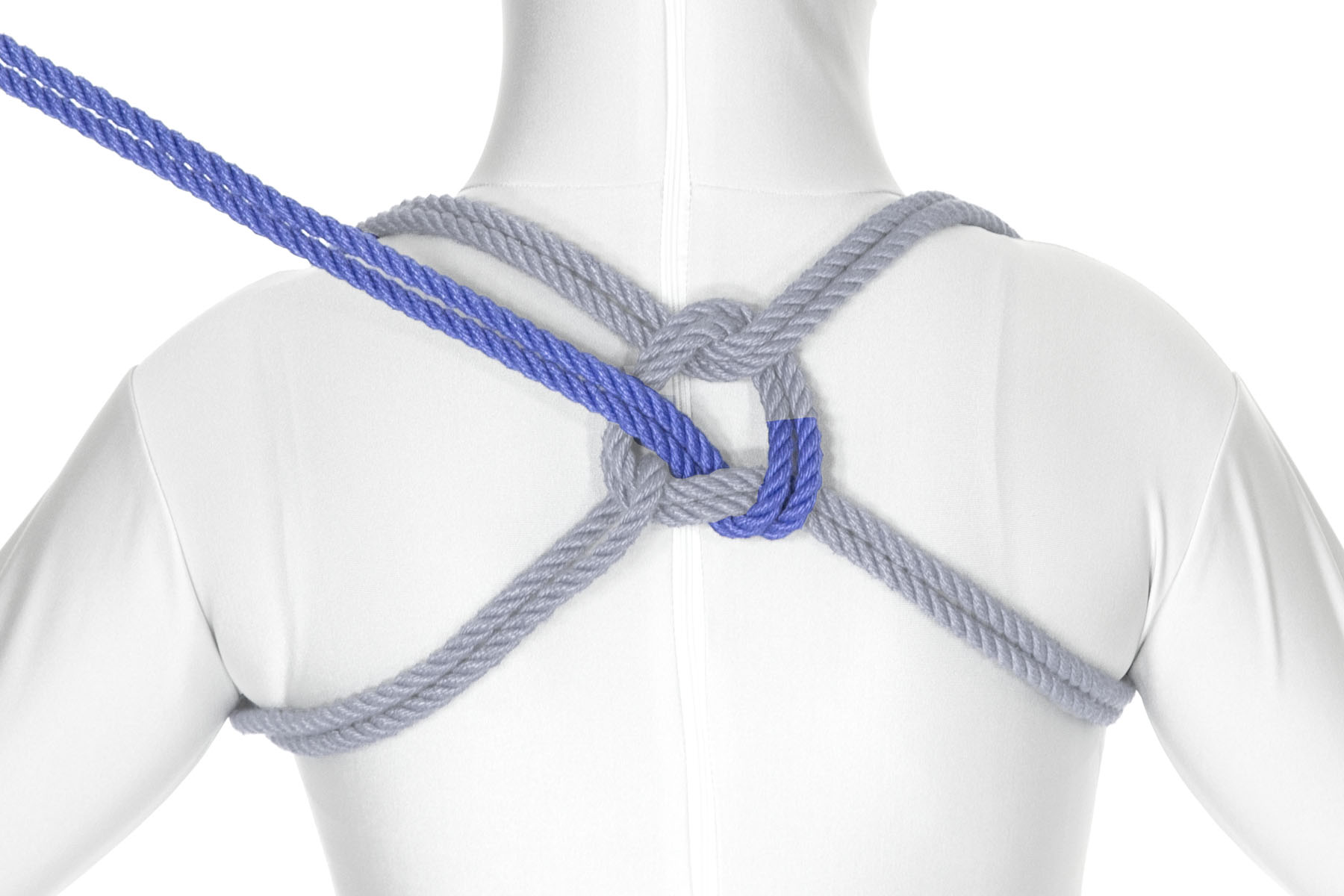 The tail of the rope ties a half hitch, securing the whole harness together. To do this, it first crosses over the rope in the lower right quadrant, making a small circle of rope at the center point of the harness. It then goes under the rope in the lower right quadrant and then up through the circle before being pulled taut.