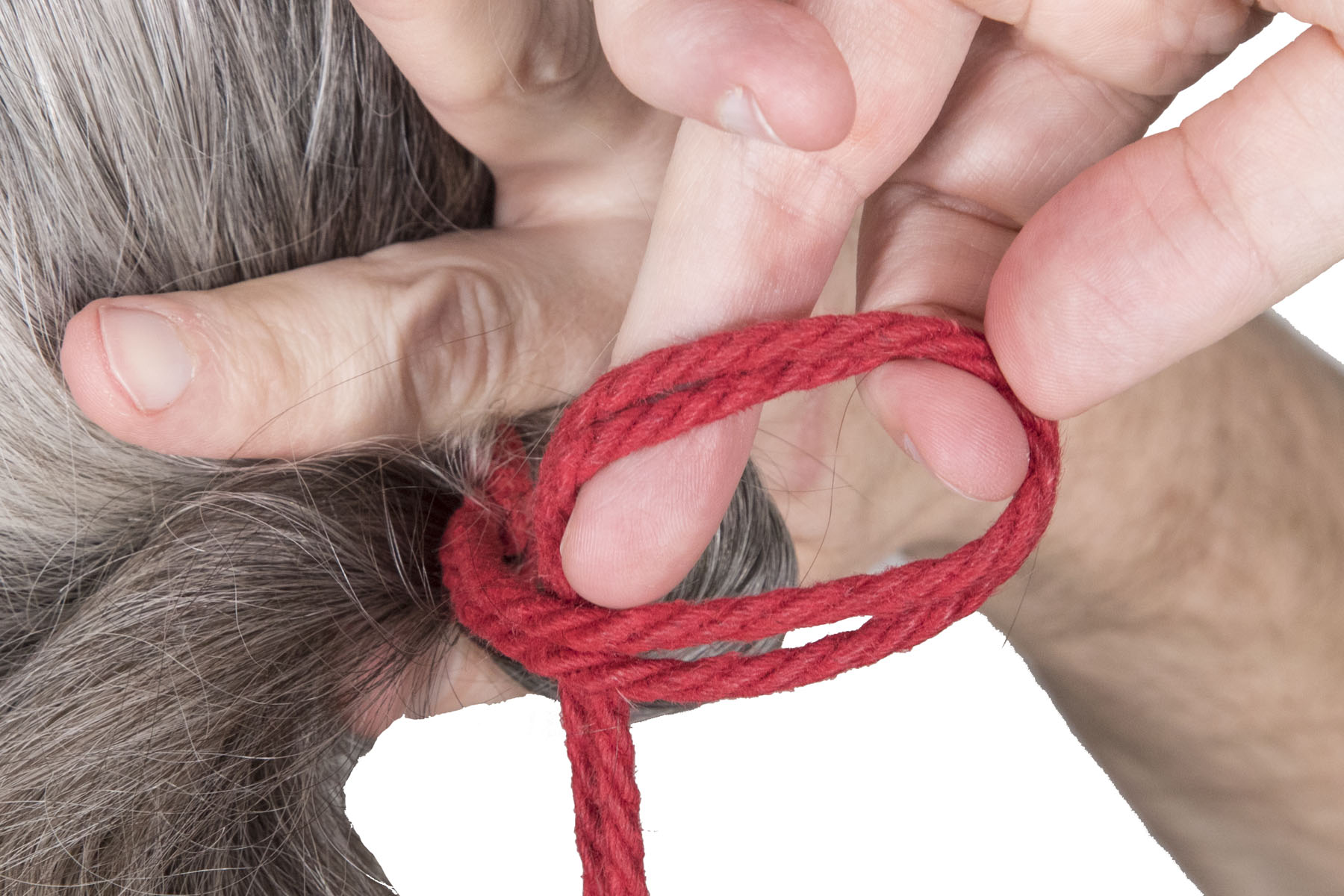 While holding the tie in place with their left hand, the rigger has flipped over a loop of the standing end of the rope. They are about to slide the loop over the U shape in the ponytail and the lark’s head. The flipped loop technique is a fast way to tie a half hitch around the existing tie.