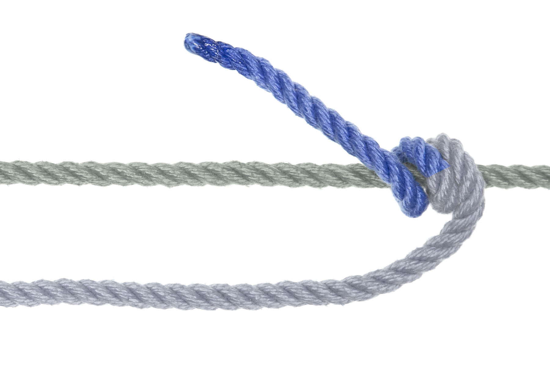 The blue rope makes a second spiral around the green rope, going under it and then back over it. There are now four inches of tail pointed up and to the left of the frame.
