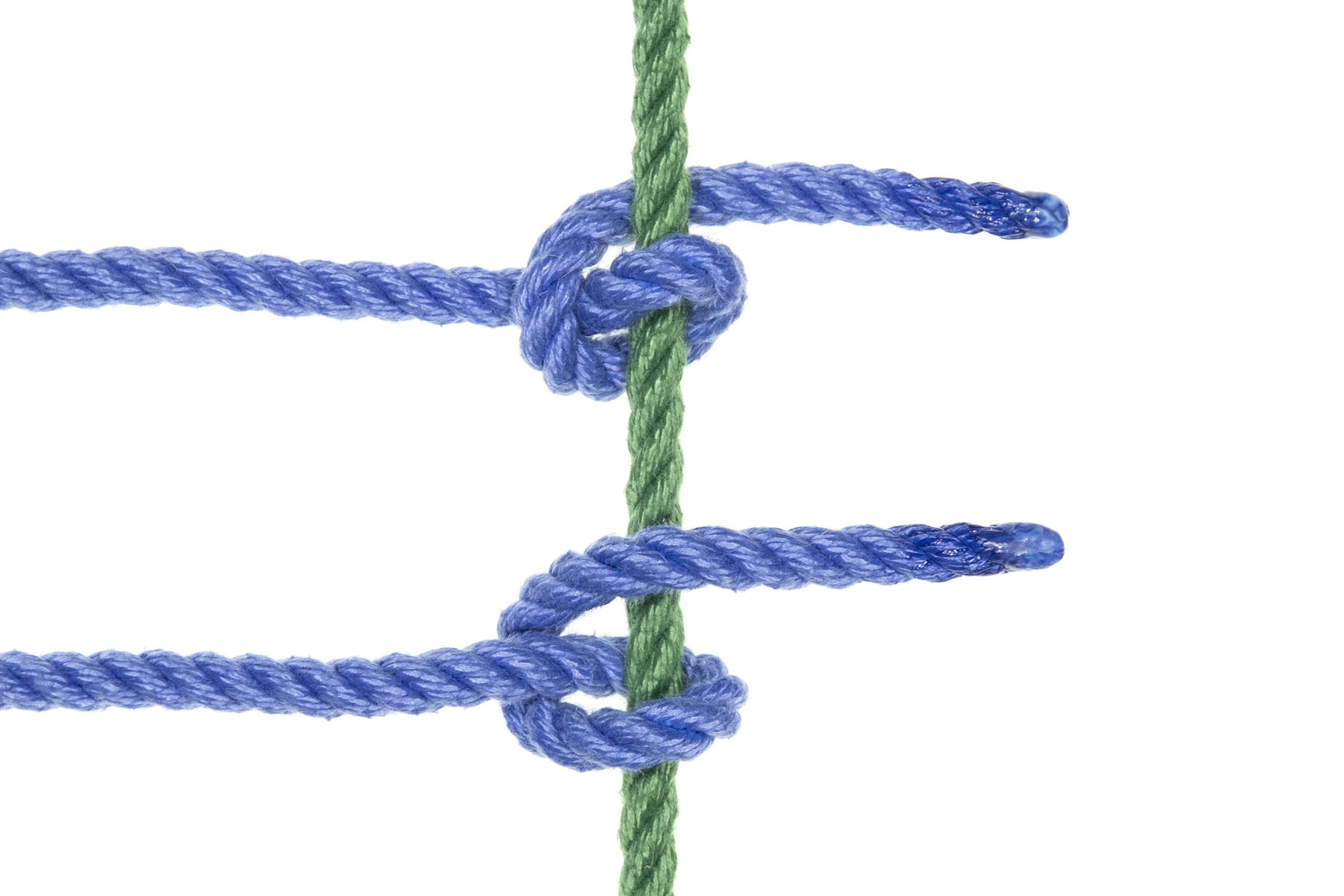 A green rope crosses the frame vertically. Two blue ropes enter from the left and make Munter frictions where they cross the green rope. The upper blue rope is a standard Munter that goes over the green rope, back under it, over itself, and under the green rope again. The lower blue rope makes an inverted Munter that goes under the green rope, back over it, under itself, and over the green rope again.