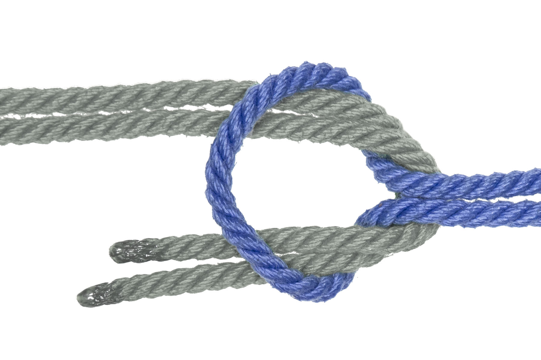 The bight of the blue rope has been flipped over, so the blue rope no longer crosses over itself, instead simply forming a large, spread-out bight. The green rope goes under the edge of the loop on the right, over the edge of the loop on the left, crosses under both parts of the blue rope, over the blue rope on the left, and finally under the blue rope on the right. The green rope now makes a U shape, without crossing over itself.