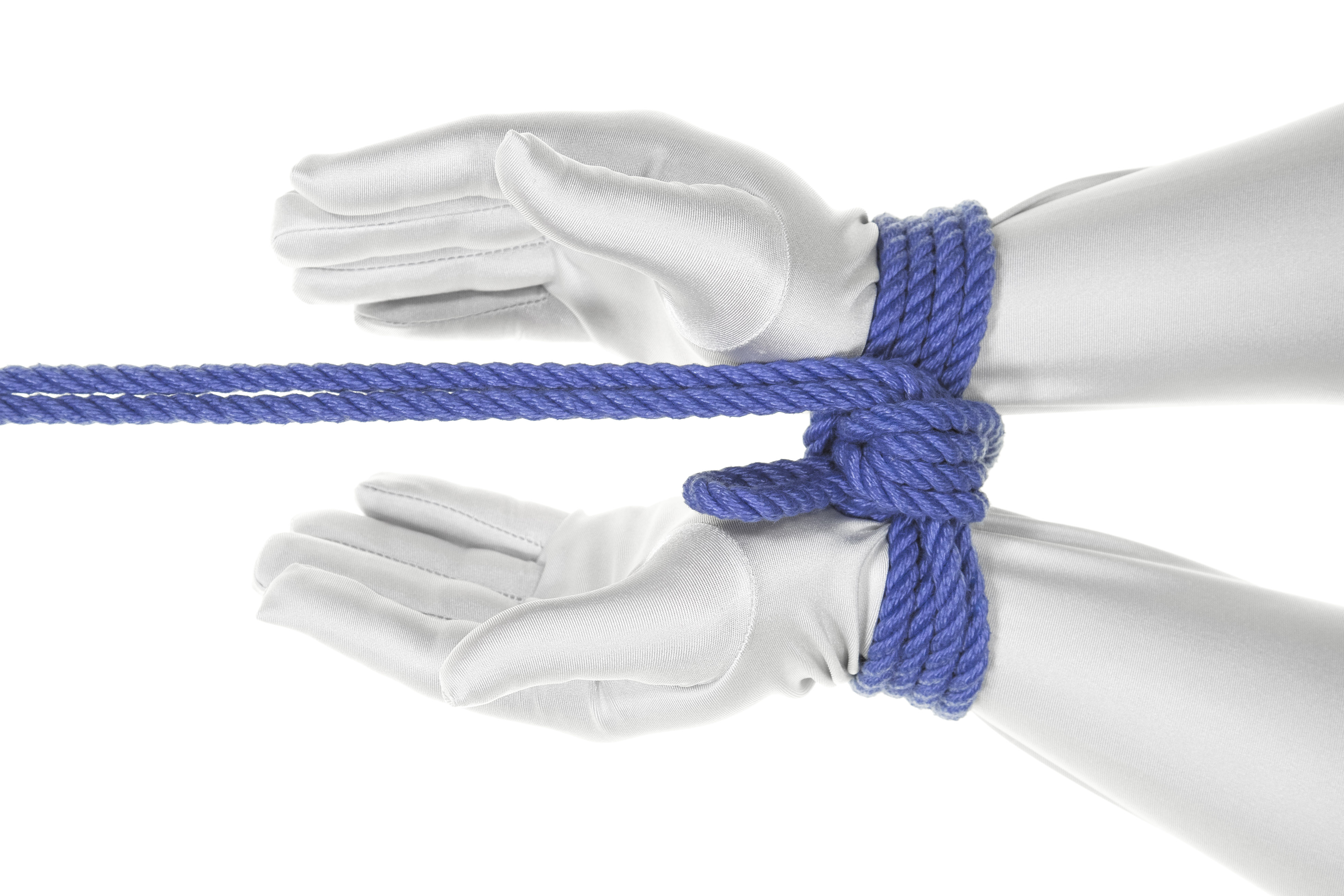 A top view of two hands wearing a white bodysuit tied together with a blue rope. We are looking from above. The hands enter the frame from the right and are separated by two or three inches. The hands face each other and are slightly cupped. A two column Somerville Bowline has been tied between them with two double wraps of rope going around the wrists. A knot on the top hides our view of the frapping turns that keep the wrists separate. A two inch bight is visible and the ends of the rope exit the frame to the left.