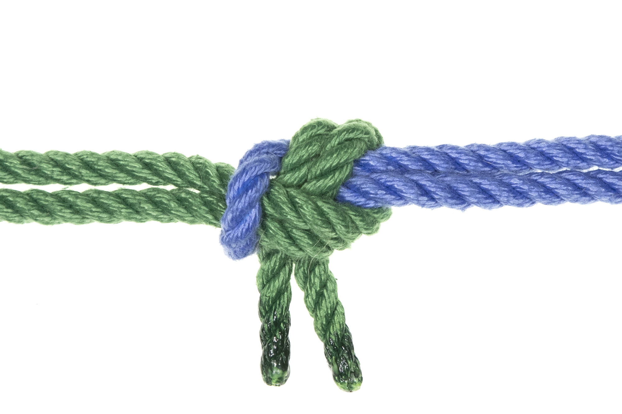 A sheet bend joins the two ends of a green rope to the bight of a blue rope. The green rope goes through the bight, wraps around the blue rope, and crosses under itself, moving toward the bottom of the image. The knot has been neatly snugged into a compact shape.