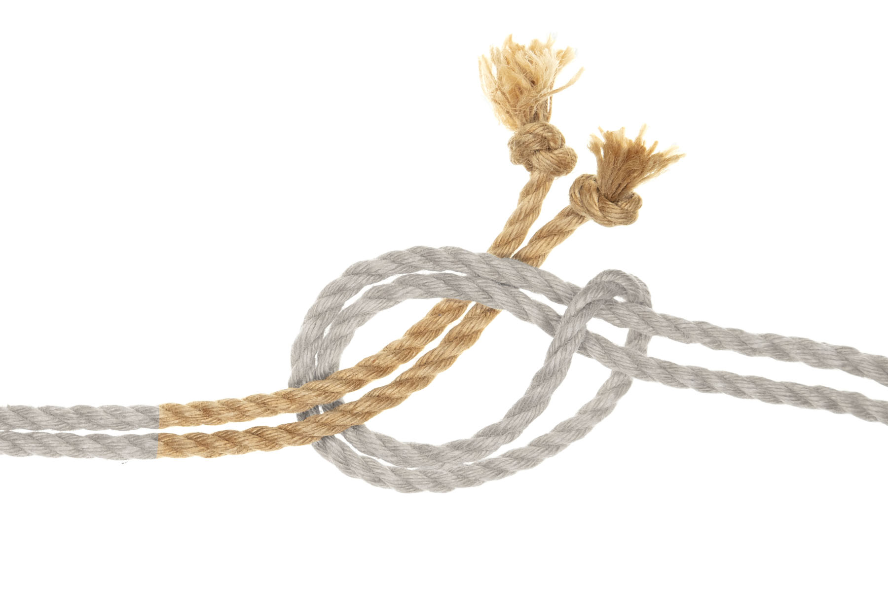 The two ends of the rope on the left have passed through the loop of the lark’s head.