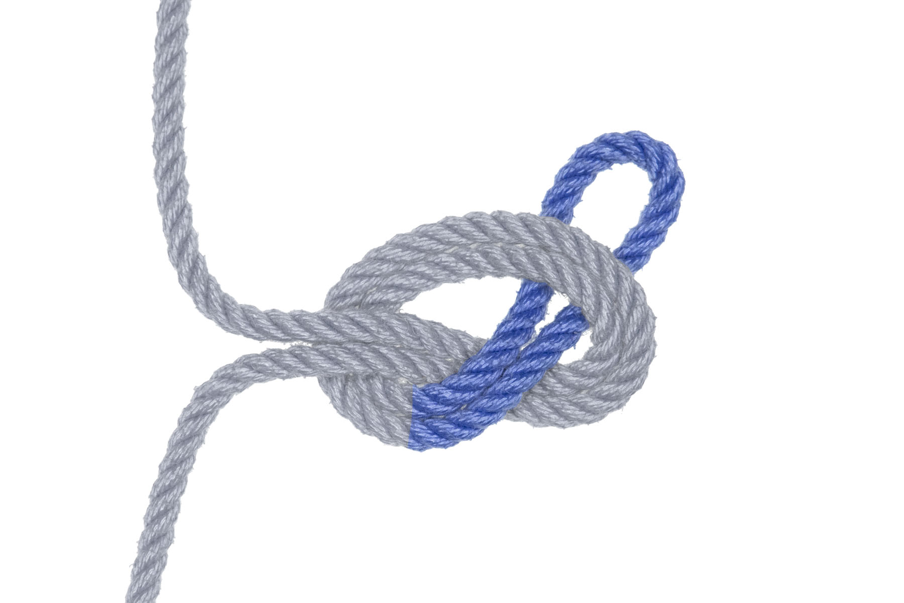 The bight has been pulled up and to the right, crossing over and then under itself. It now makes a half hitch.